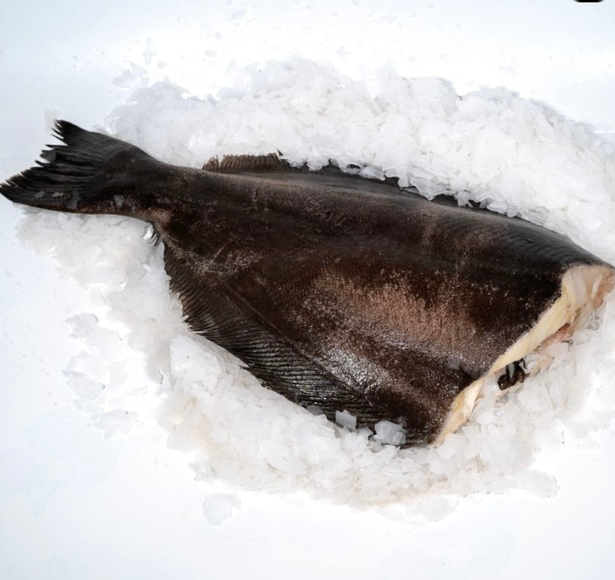 Halibut without the head
