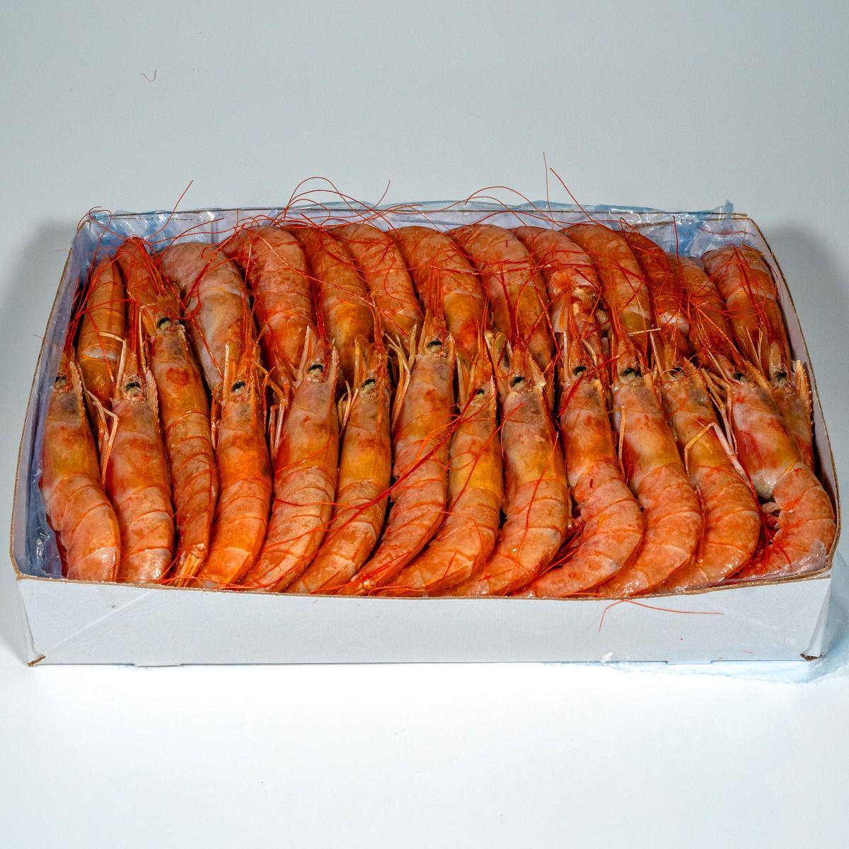 Argentine shrimp raw