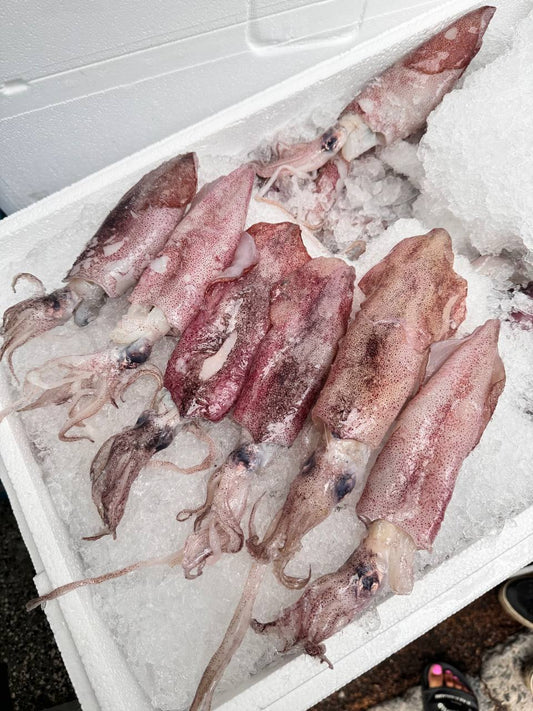 Fresh squid in a package